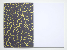 Load image into Gallery viewer, Wiggle Notebook with Squiggle Endpapers