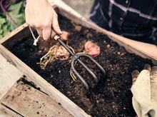 Load image into Gallery viewer, Walnut Cultivator Hand Tool