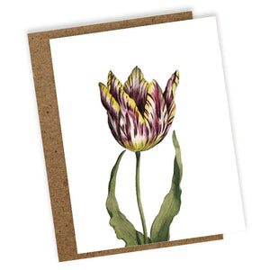 Mini Tulip Card