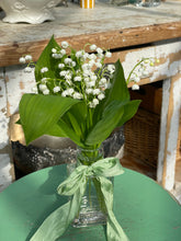 Load image into Gallery viewer, ✿Mother&#39;s Day✿ - Lily of the Valley - Milk Bottle

