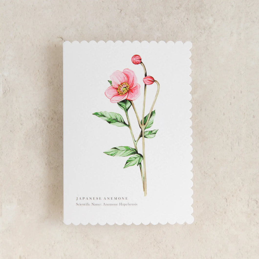 Anemone Watercolour Scalloped Sustainable Greeting Card