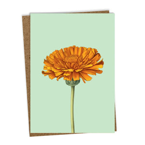 Marigold Greeting Card