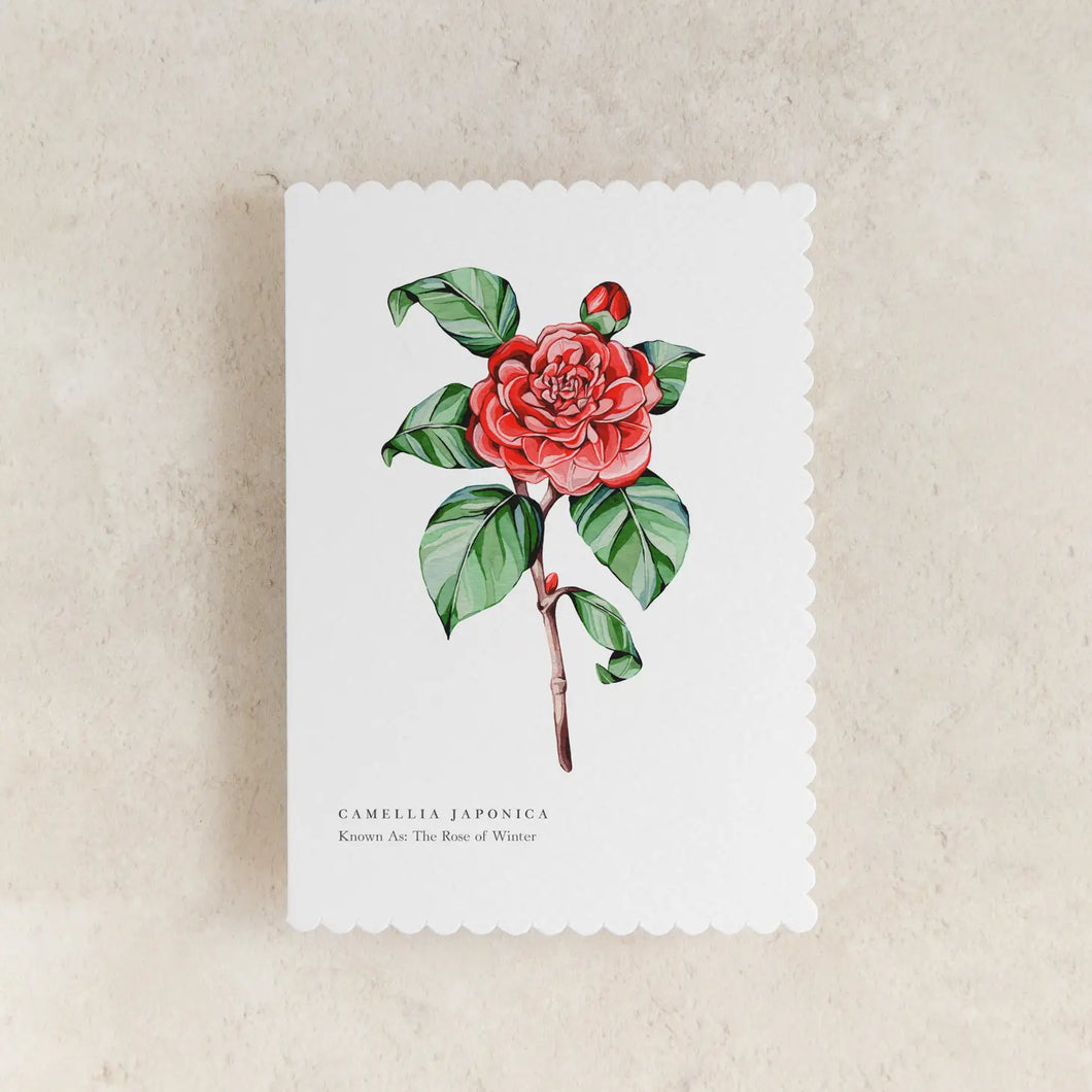 Camellia Japonica Card