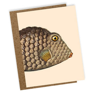 Mini Fish Card