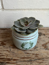 Load image into Gallery viewer, Succulent in Wreath pot
