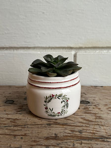 Succulent in Wreath pot