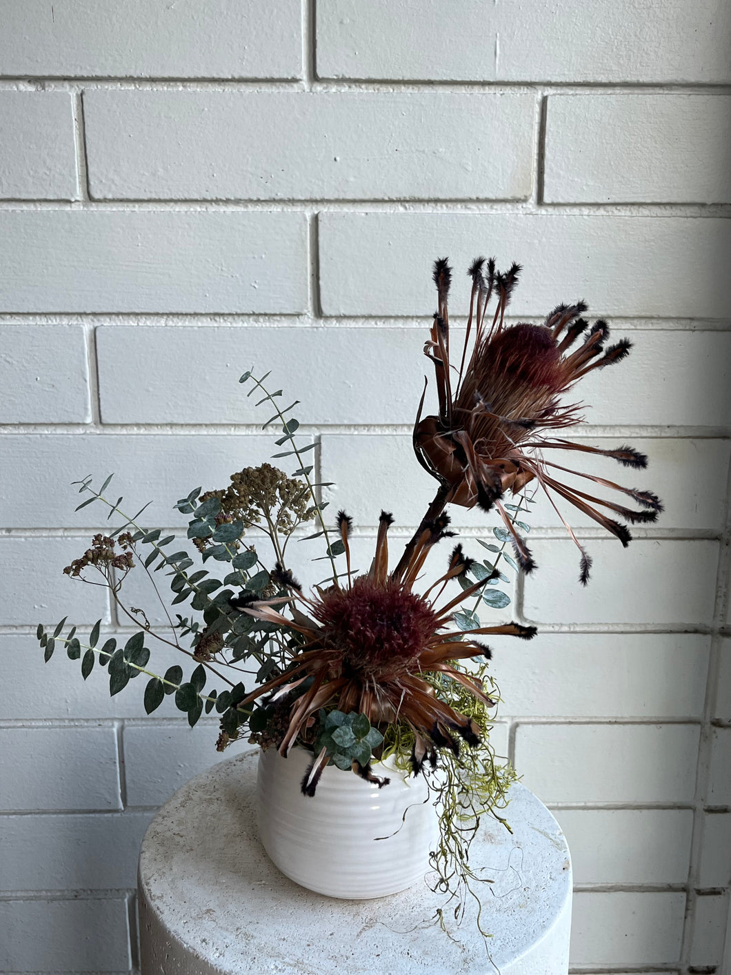 Dried Protea Arrangement