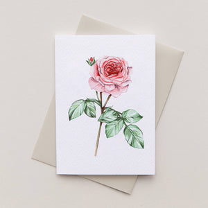 Rose Watercolour Sustainable Greeting Card