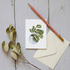 Mini House Plant Watercolour Sustainable Greetings Card