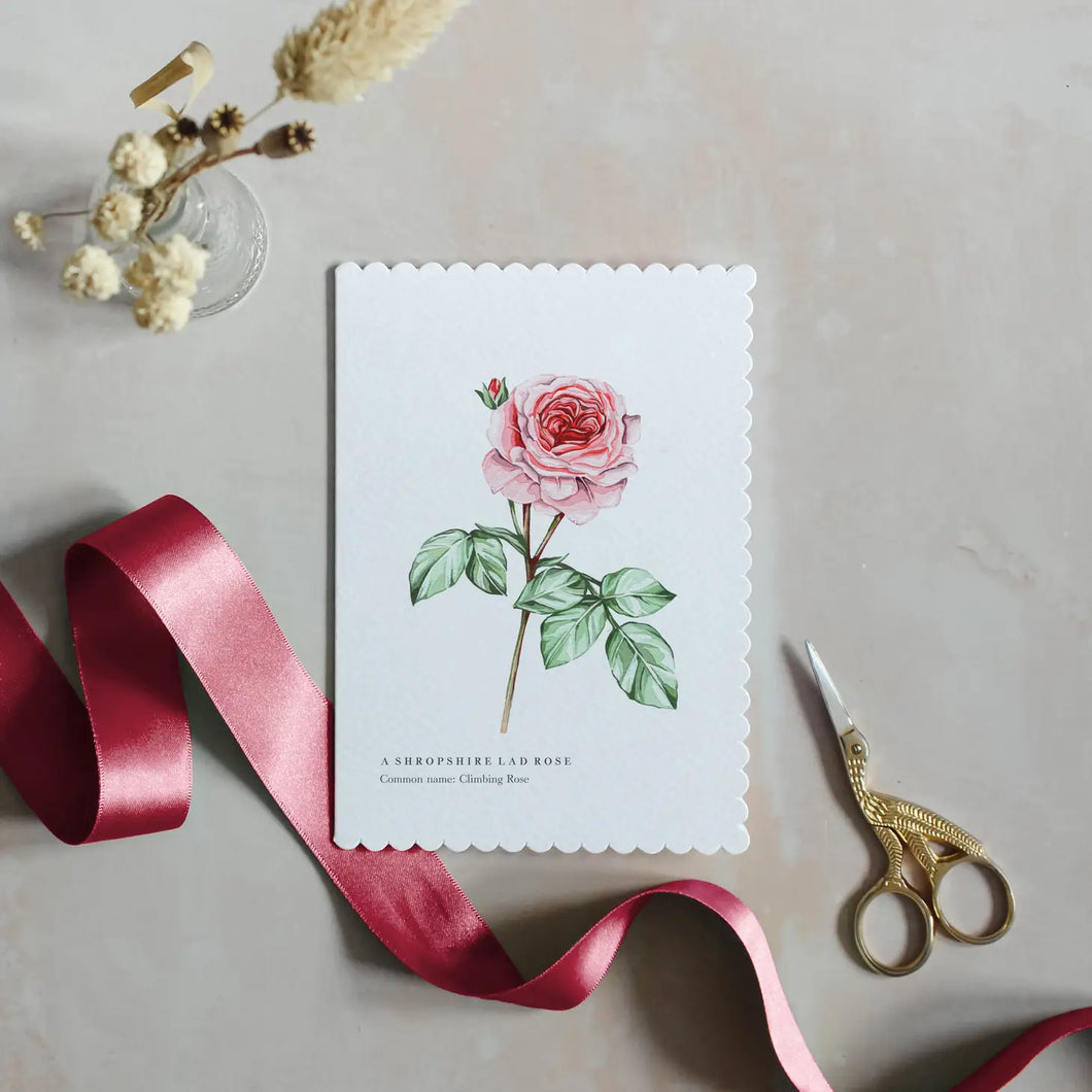 English Rose Watercolour Scalloped Sustainable Greeting Card