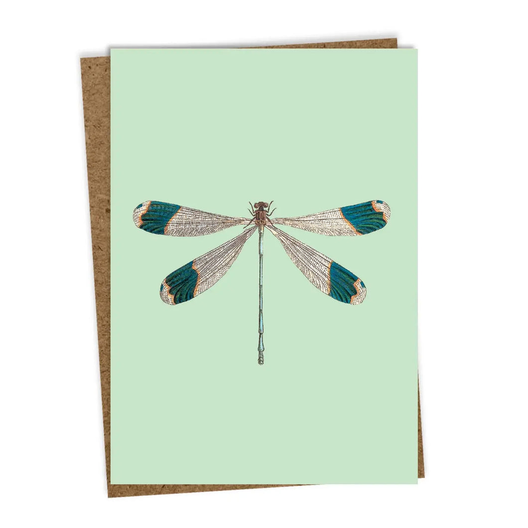 Dragonfly Greeting Card
