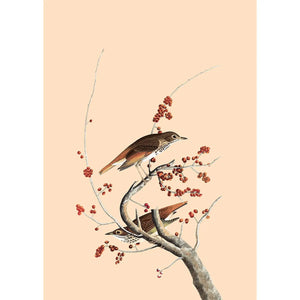 Winter Bird Print