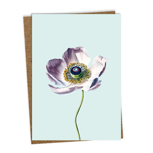 Anemone Greeting Card