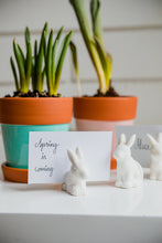 Load image into Gallery viewer, Bunny Place Card Holders (Set of 5)

