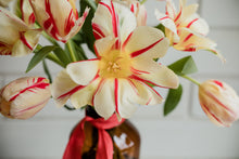 Load image into Gallery viewer, ♥ Valentine&#39;s Day ♥ - Parrot Tulips + Amber Bottle
