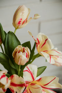 ♥ Valentine's Day ♥ - Parrot Tulips + Amber Bottle