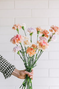 ♥ Valentine's Day ♥ - 'Carnation' Market Bouquet