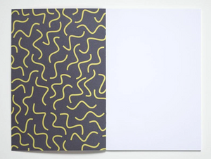 Wiggle Notebook with Squiggle Endpapers