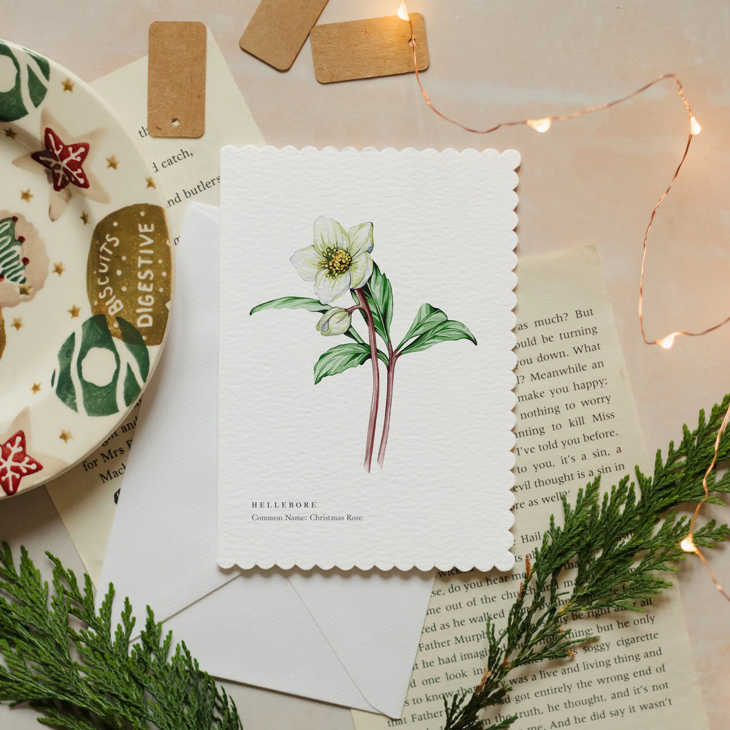 Sophie Brabbins - Hellebore Greeting Card