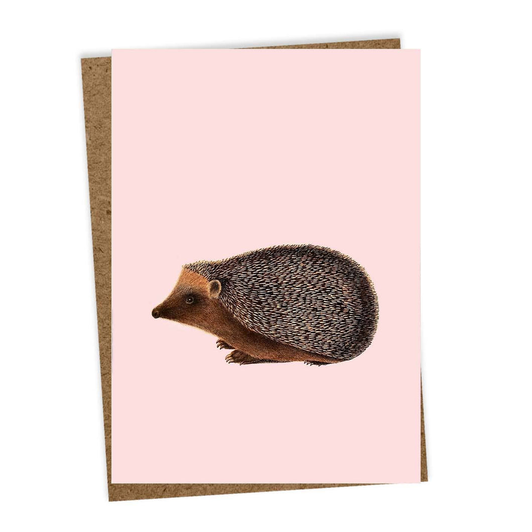 Hedgehog Greeting Card