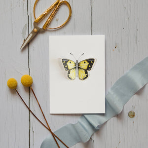 Clouded Yellow Pop Out Butterfly Watercolour Greetings Card