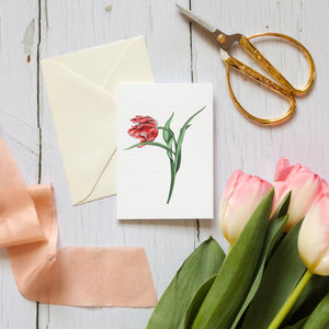 Sophie Brabbins - Mini Tulip Greeting Card