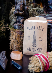 Vol 1 | Plant Ally Talisman Cards Mini Deck | Plant Medicine Cards