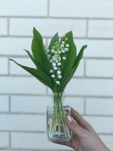 Lily of the Valley Bud Vase