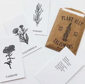 Vol 1 | Plant Ally Talisman Cards Mini Deck | Plant Medicine Cards