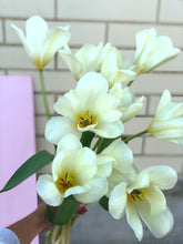 Load image into Gallery viewer, Premium Tulip Bunch
