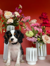 Load image into Gallery viewer, ♥ Valentine&#39;s Day ♥ - Designer&#39;s Choice Vase Arrangement
