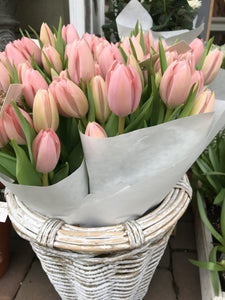 'Tulip' Market Bouquet - 15 stems
